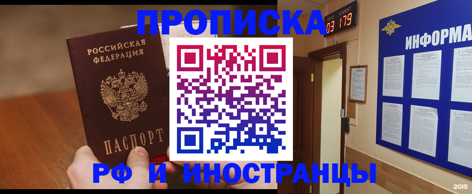 прописка в Сольцах